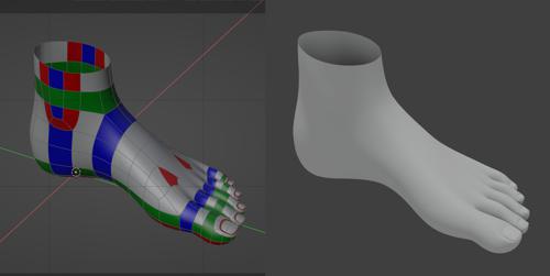 Foot Topology - CGCookie style (CC0) preview image